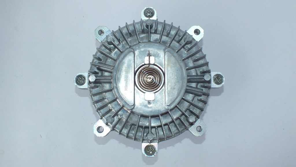 FAN TERMIGI